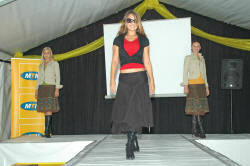 31_03_045.JPG (5858461 bytes)